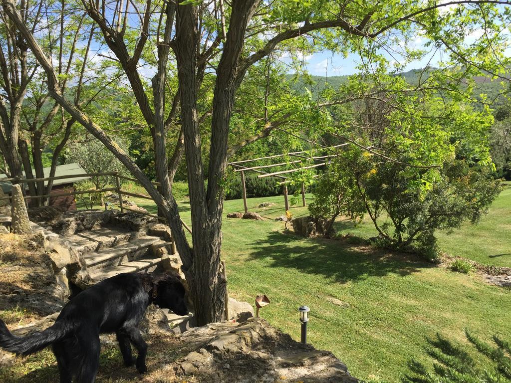 Agriturismo Podere S. Croce Saturnia Eksteriør bilde